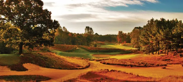 Golf's Wildest Ride: Tobacco Road Golf Club